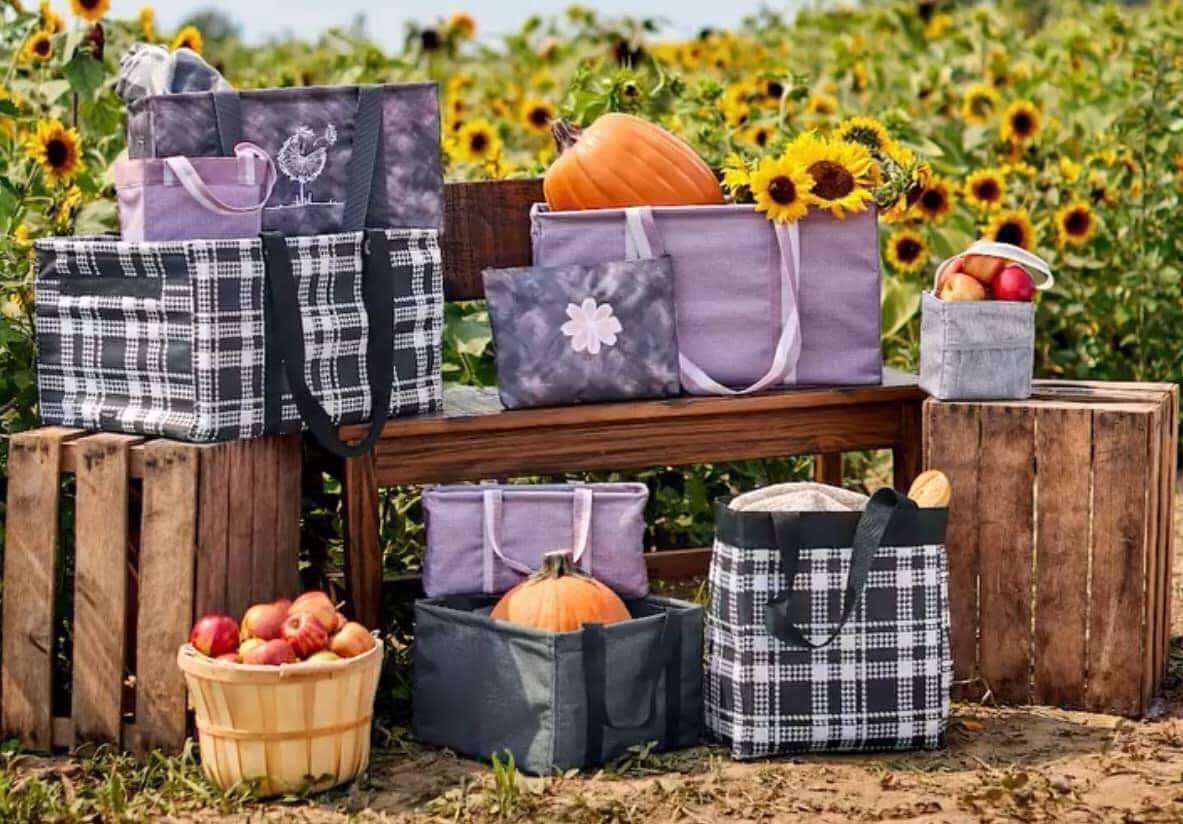Thirty-One Gifts/Tammy’s Satchels n Such: Show Specials